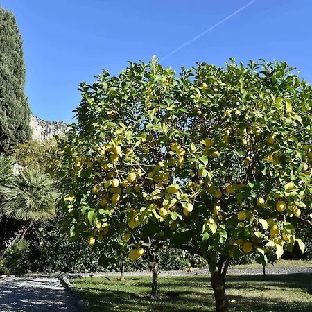 Le Palme Garavan Francia Apartment